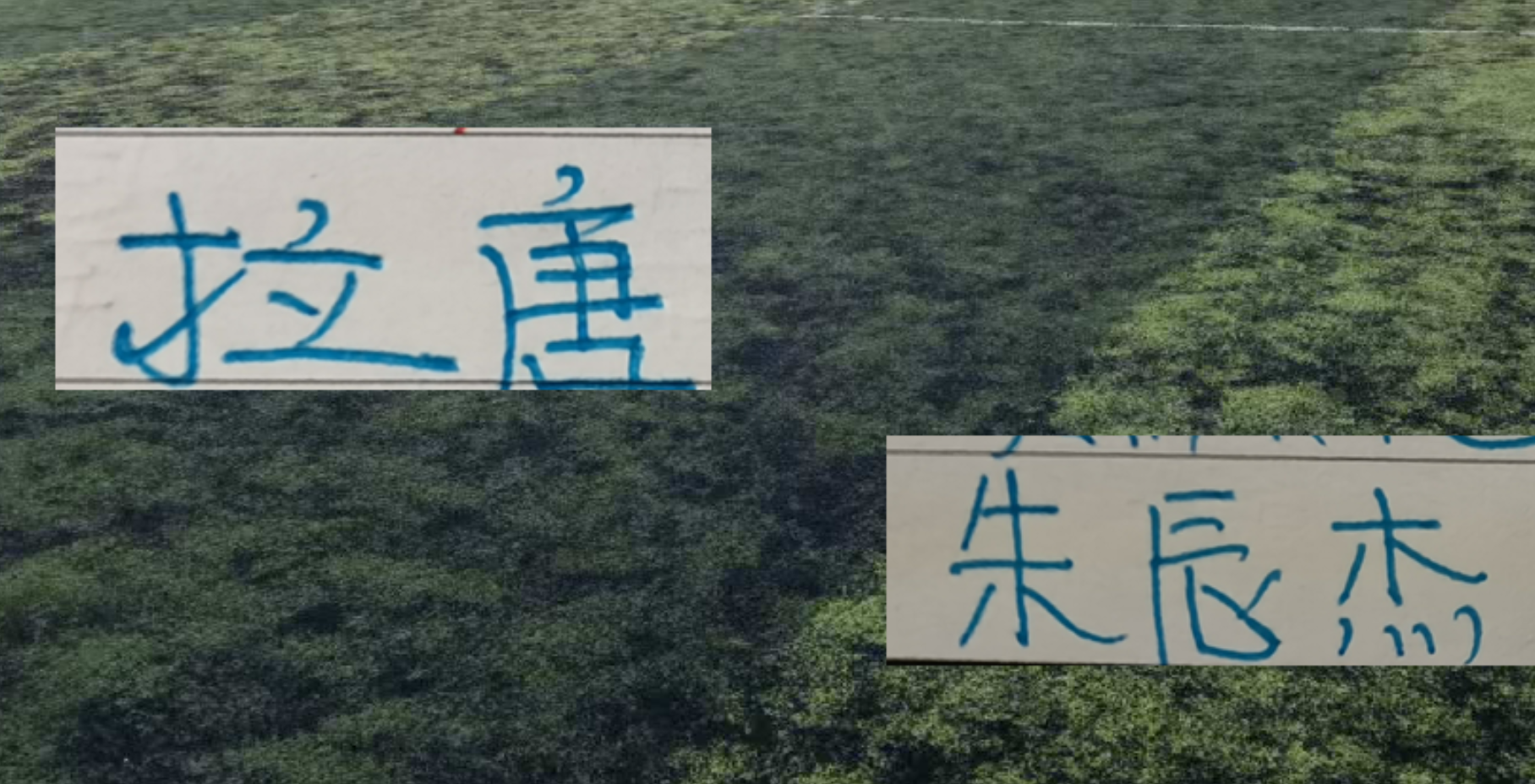 华体会体育库里发文祝贺前助教布朗：尼克斯53年首冠背后的师徒情